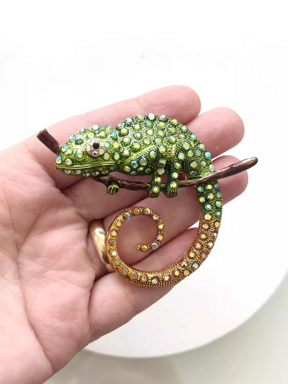 chameleon 1