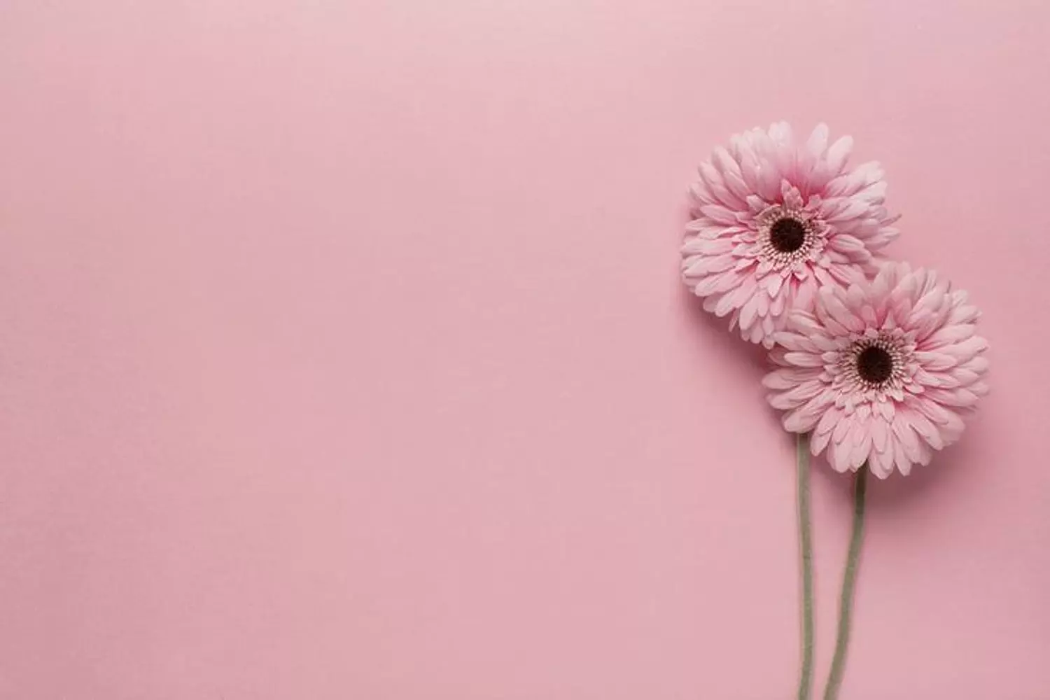 banner image for Go glam beauty store