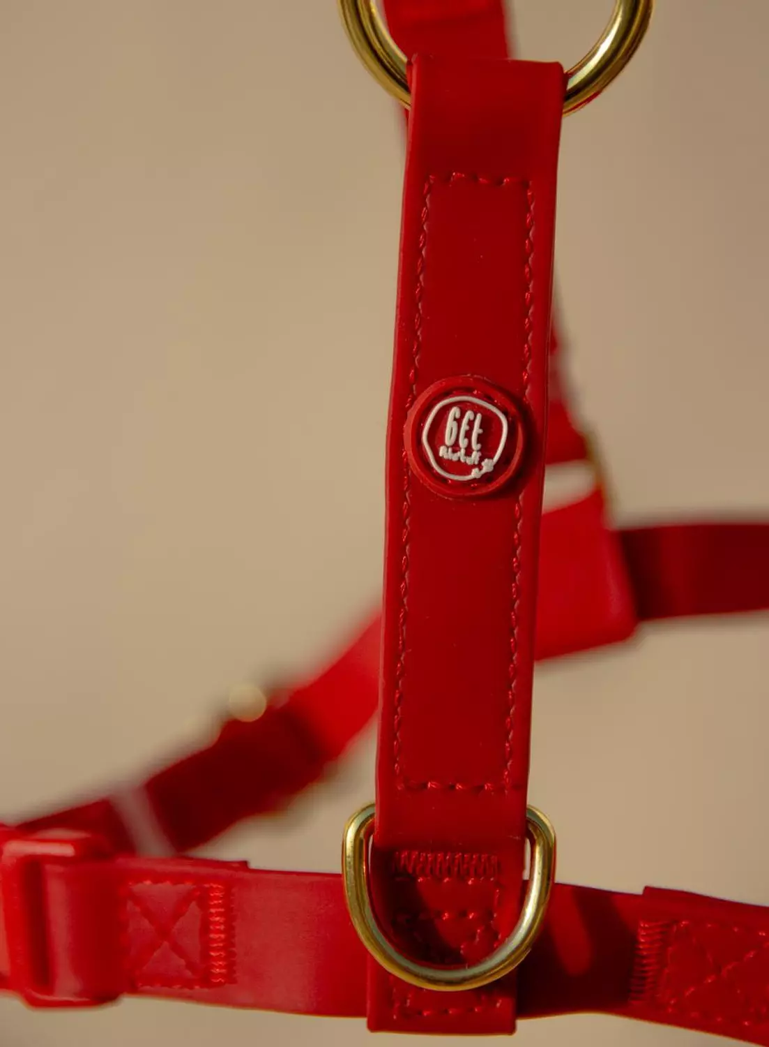 Essential Dog Harness 4