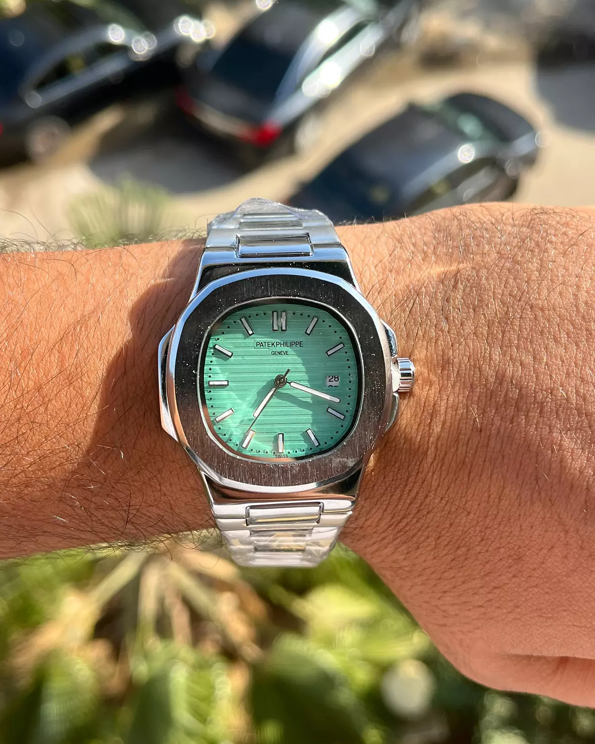Silver-Mint Patek image