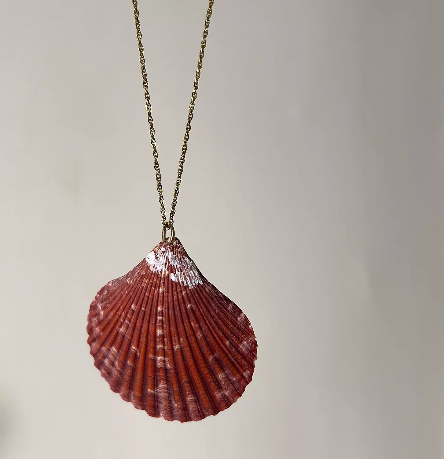 Sunset shell hover image