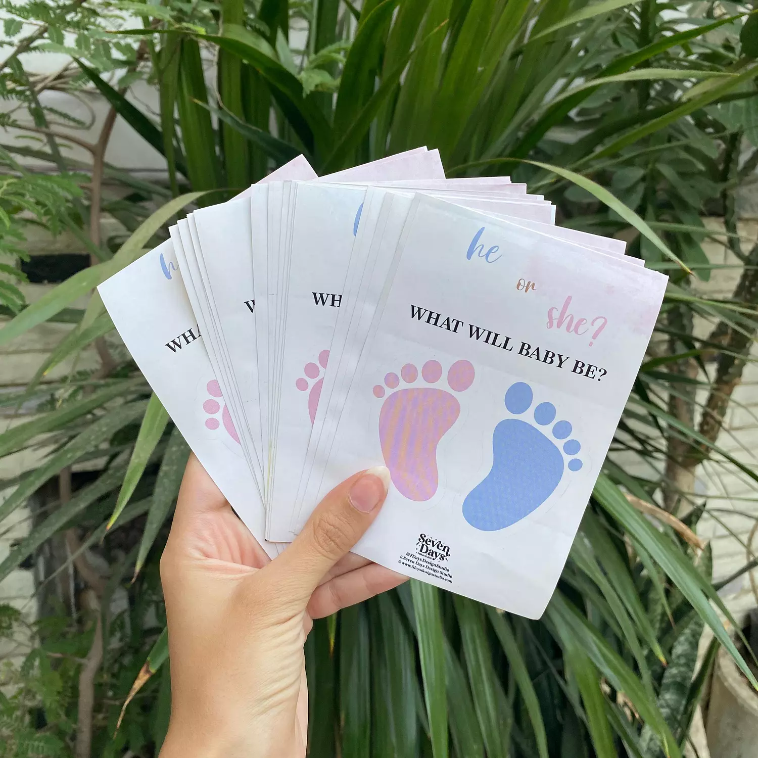 Baby Reveal Guessing Board 2