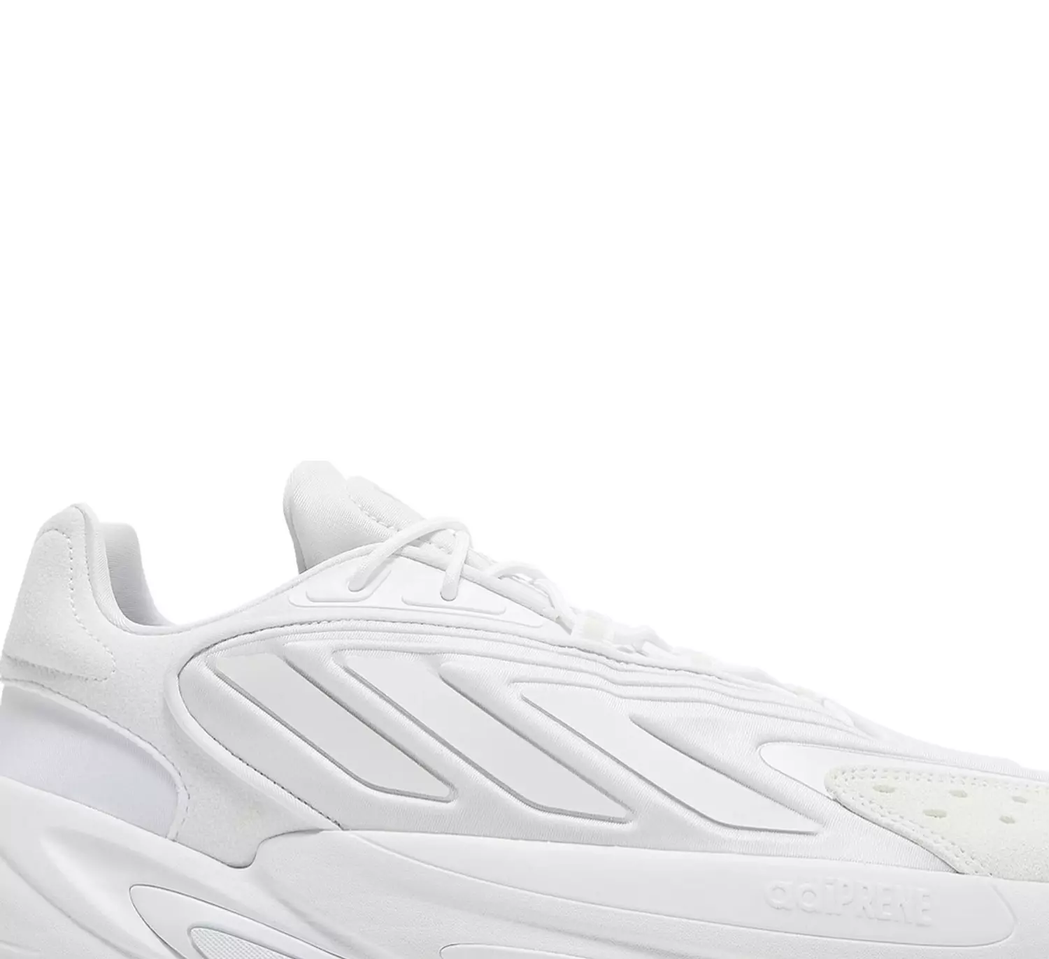 Ozelia 'Triple White' 1