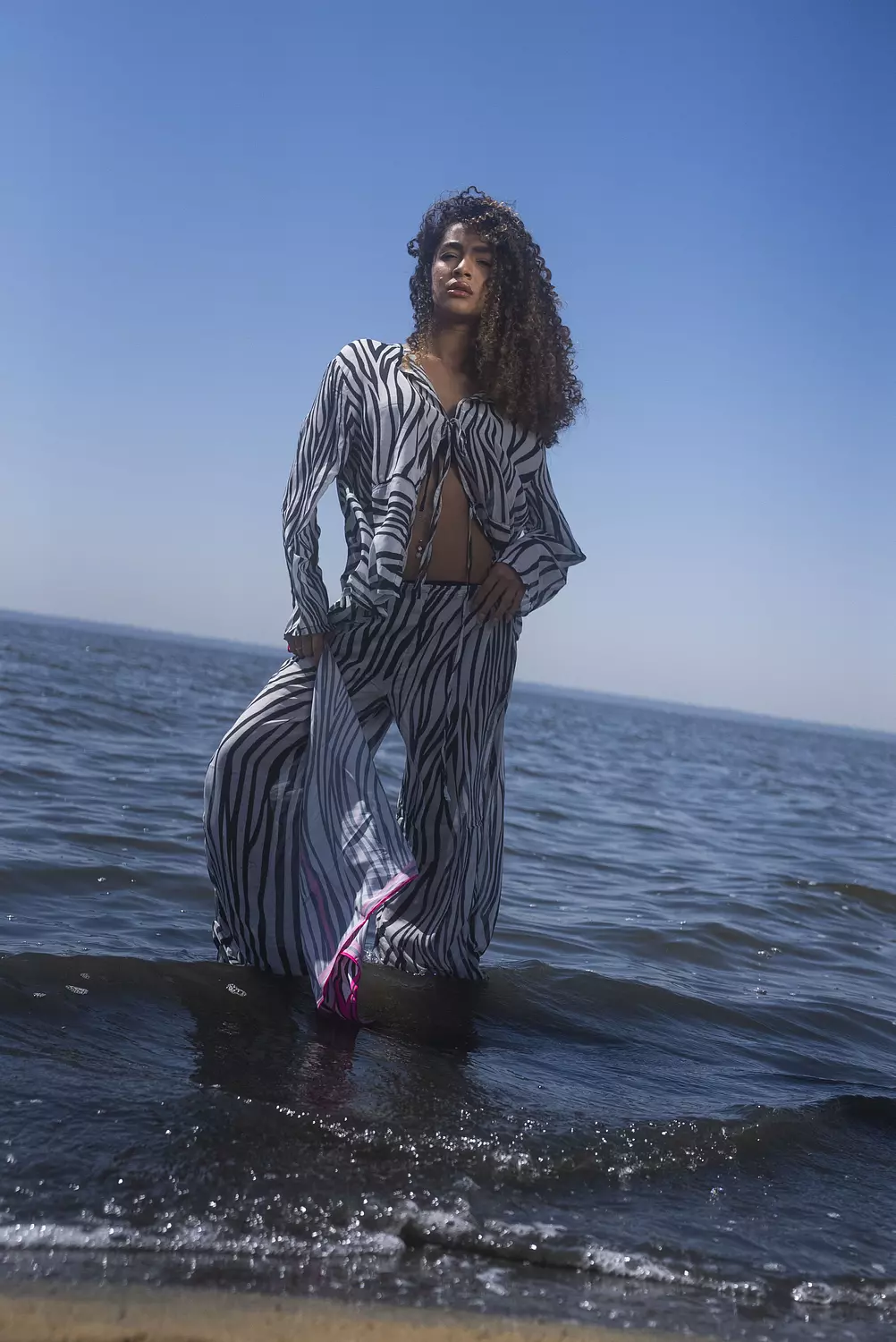 <p style="text-align: start"><span style="color: rgb(170, 127, 46)"><strong>Zebra set</strong></span></p>