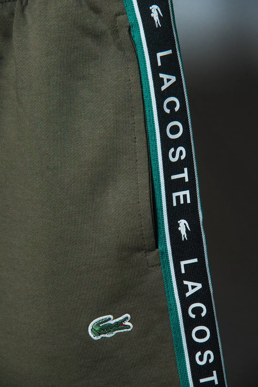 LACOSTE SHORT \  2188 hover image