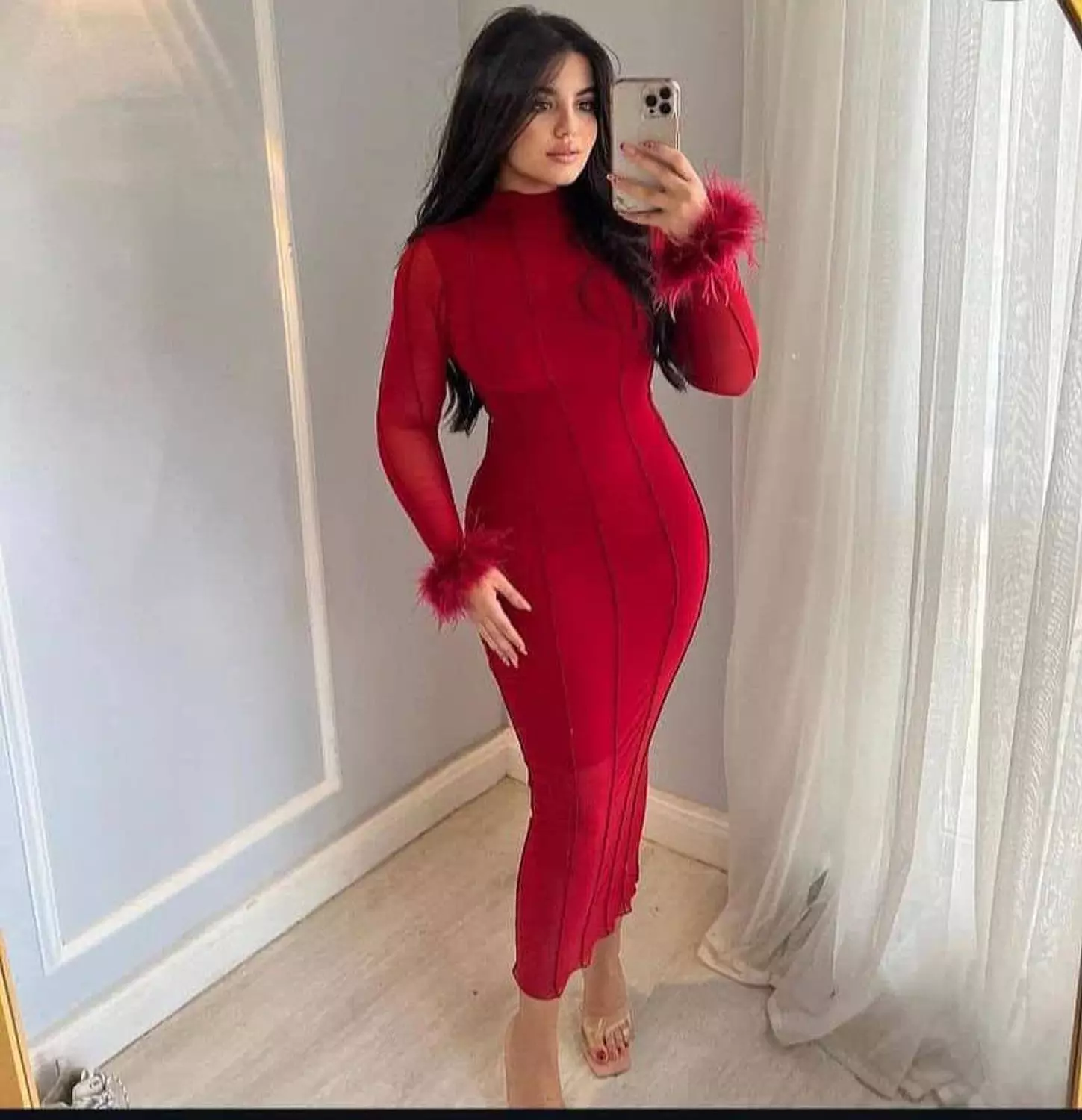 Christmas dress  image