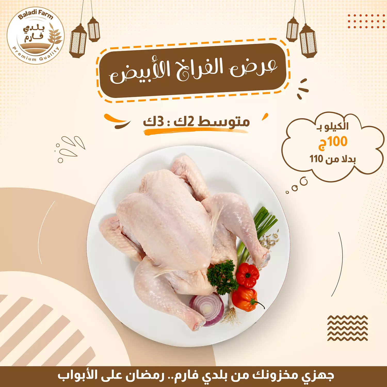 فرخه سليمة بيضه  image