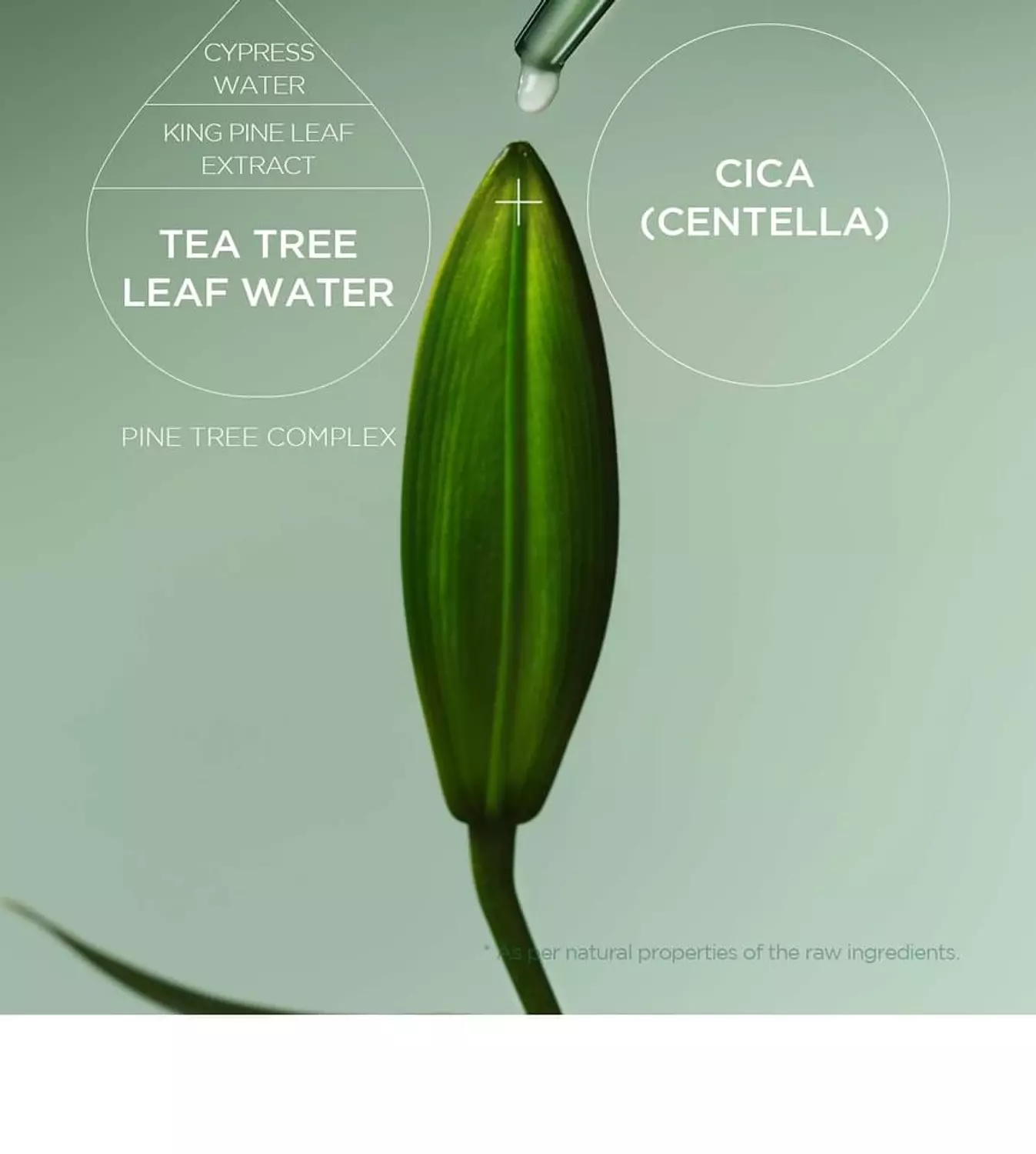 SKIN1004 - Madagascar Centella Tea-Trica Spot Cream 2
