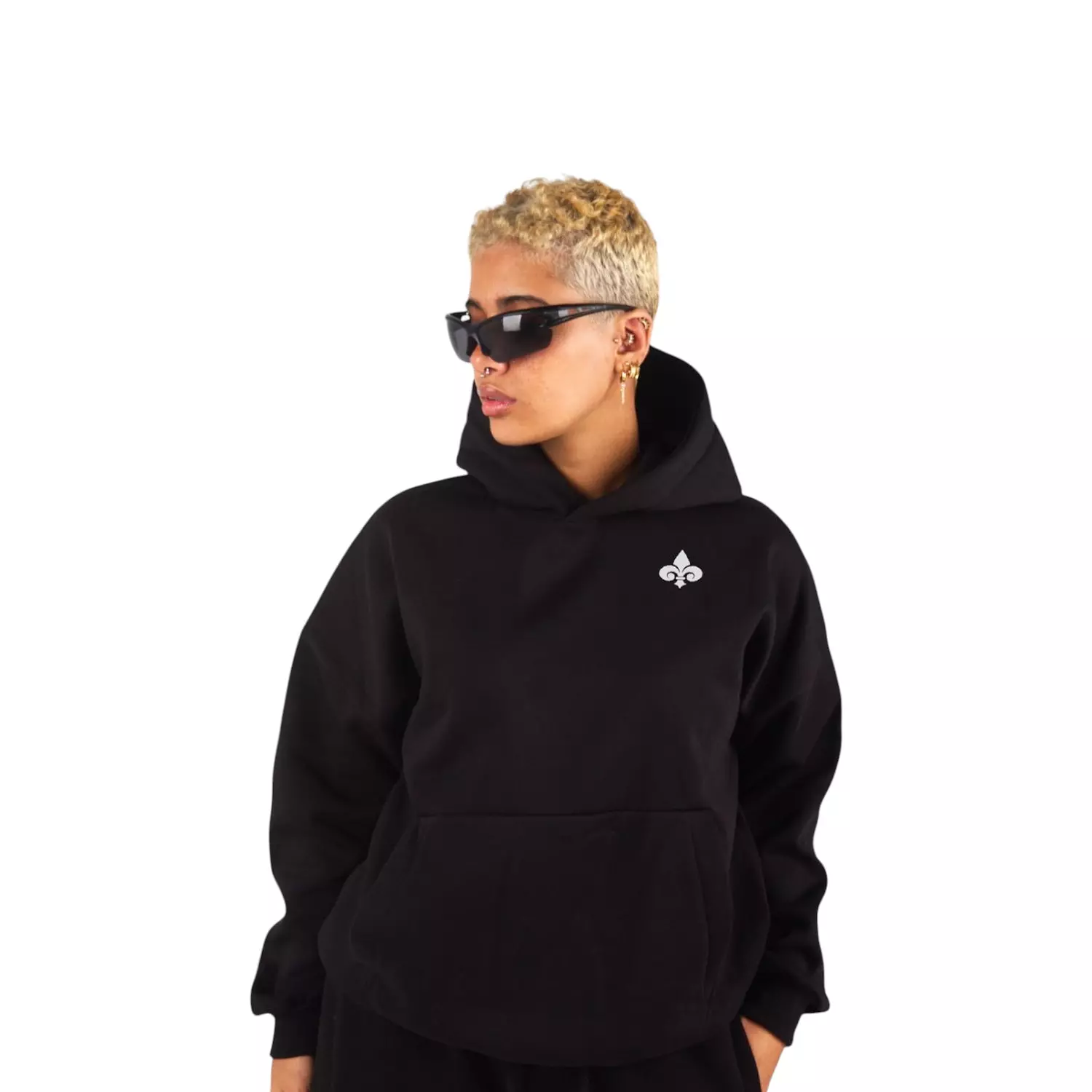 DELYS standard hoodie  image