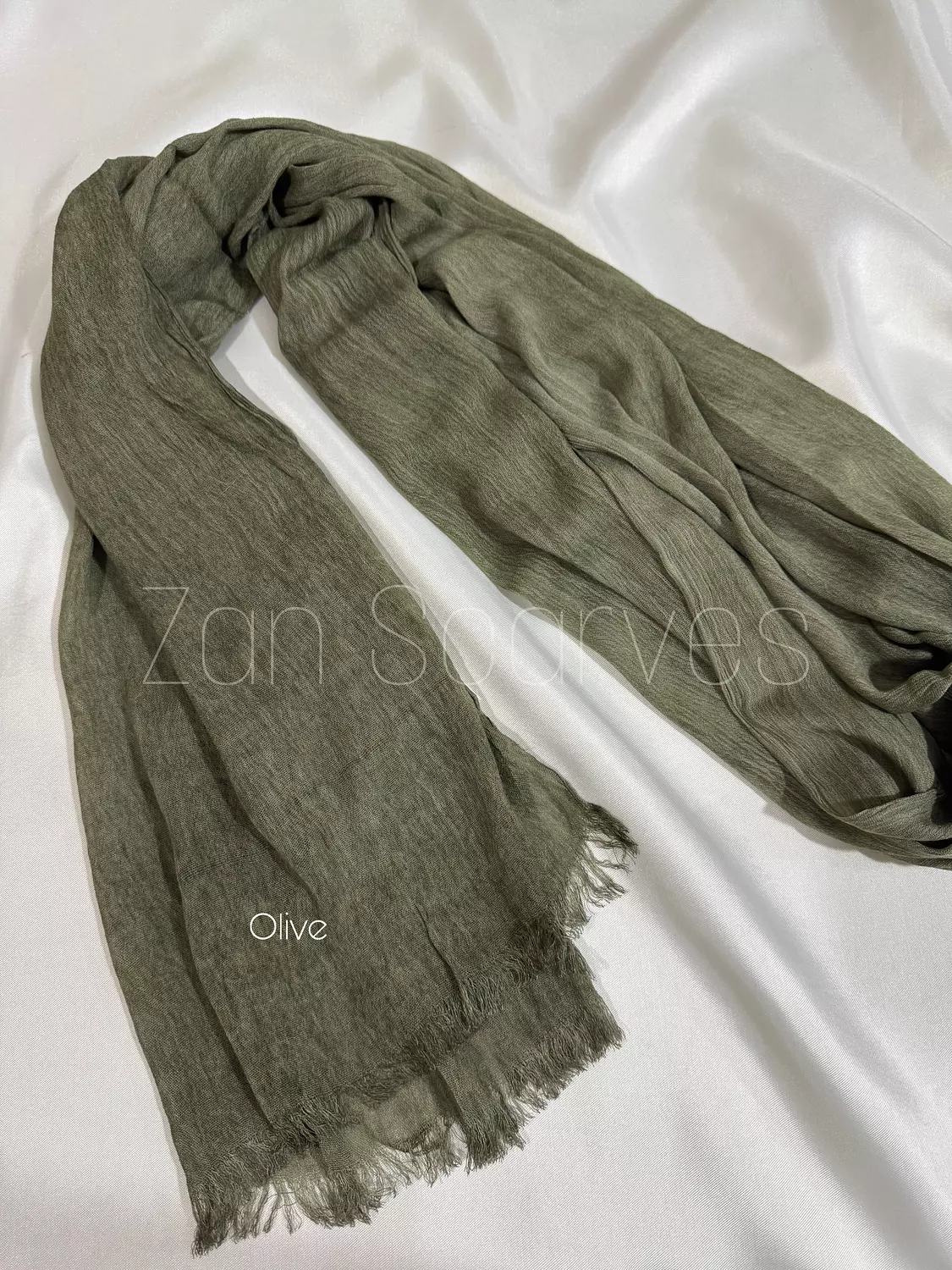Olive image