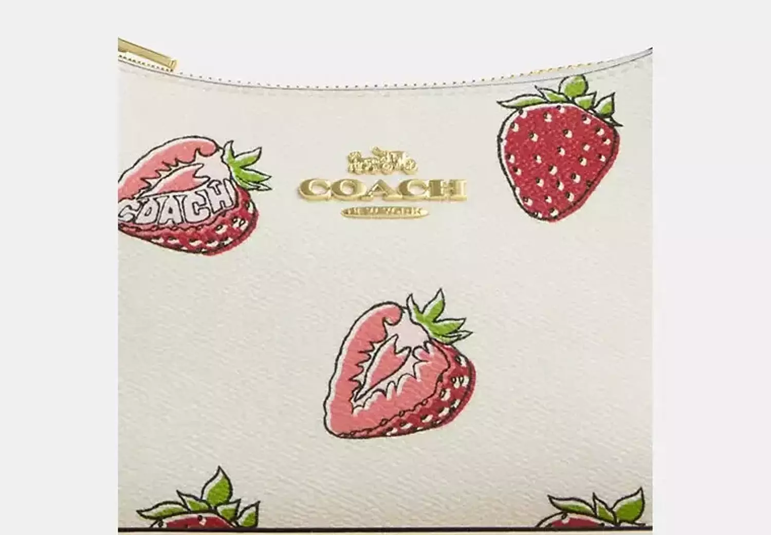 Coach Teri Shoulder Bag 15