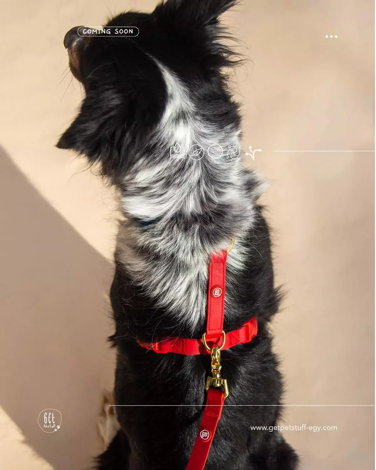 Essential Dog Harness image