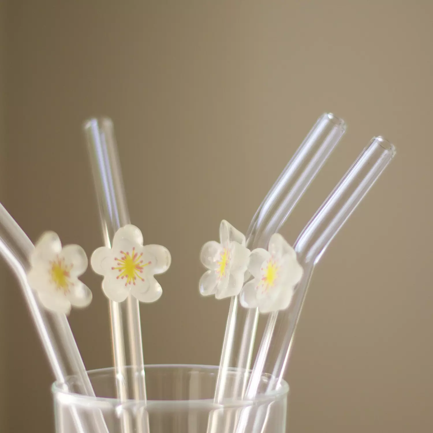 Daisy Starw 1