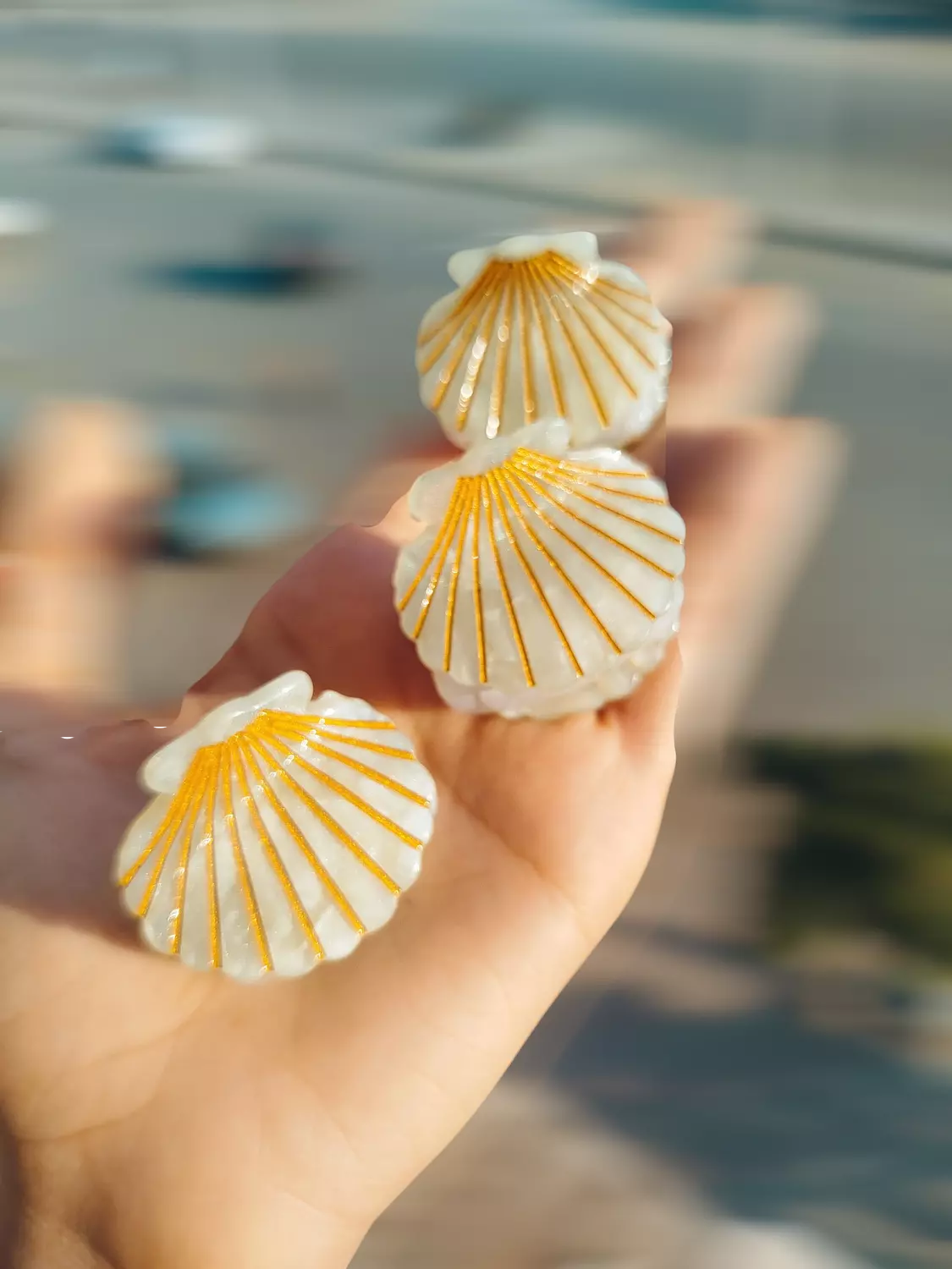 Shell clips  image