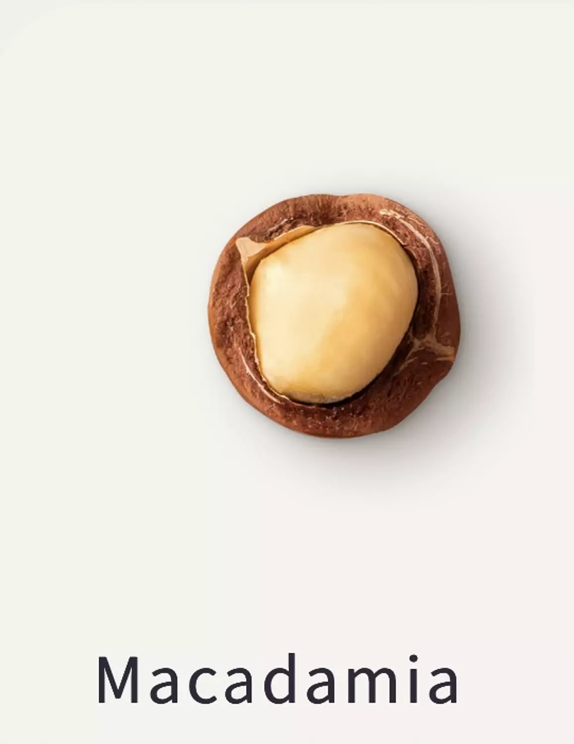 Nutshell Body Gel Oil - Macadamia & Rose Water  1