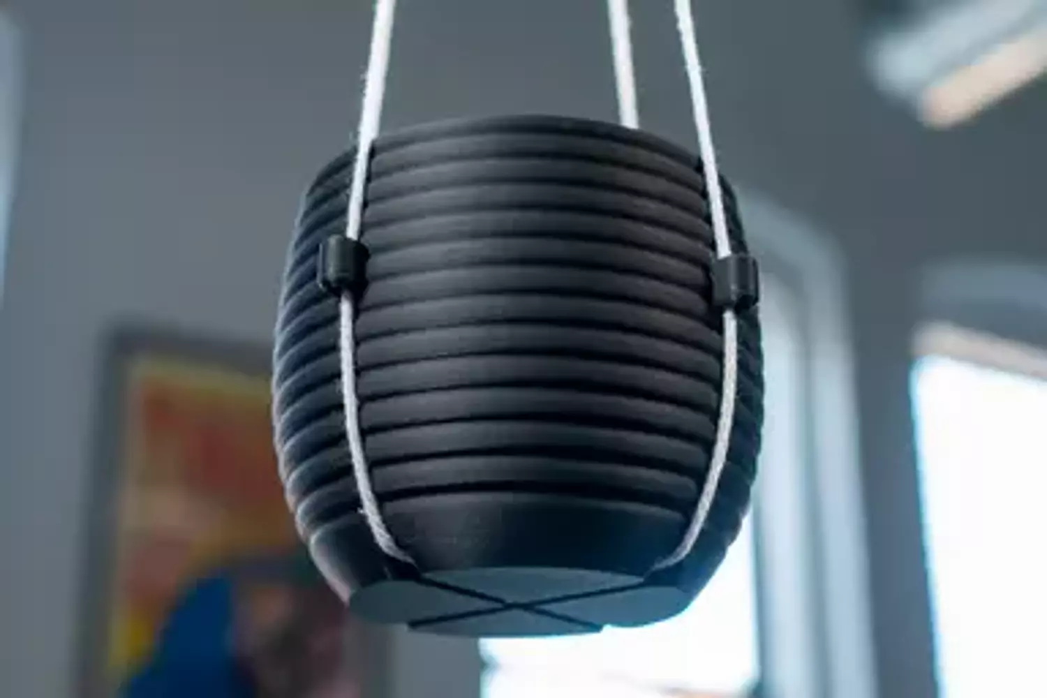 Hanging Planter - The Hive image