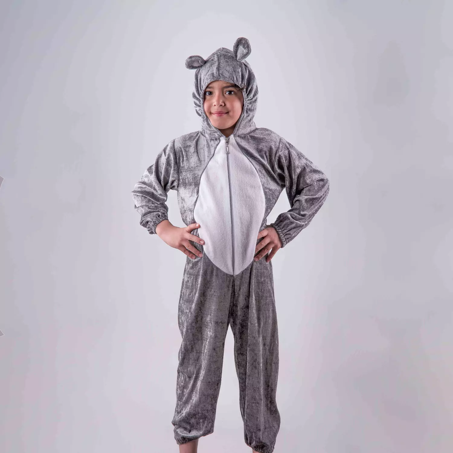 mouse image