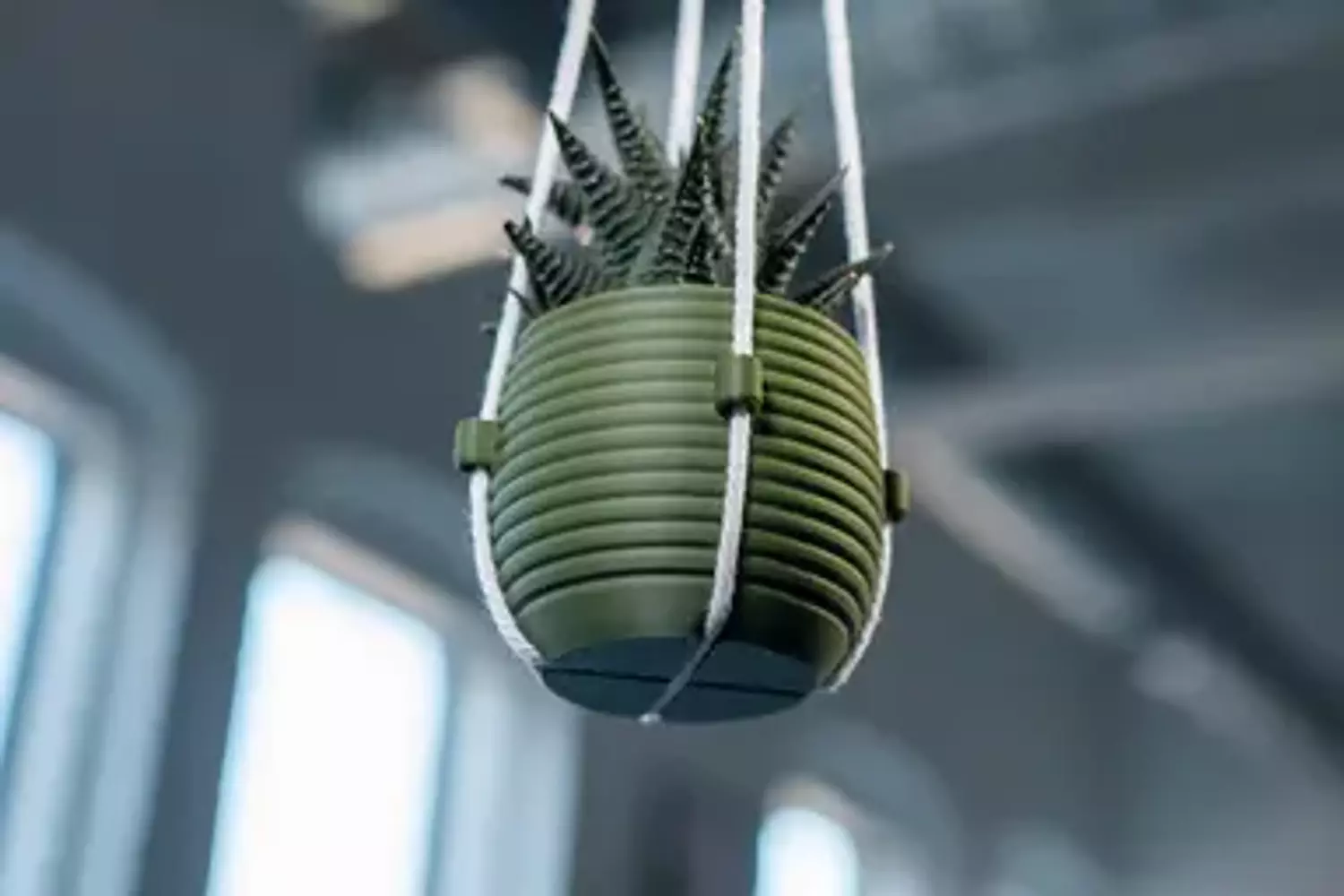 Hanging Planter - The Hive 3