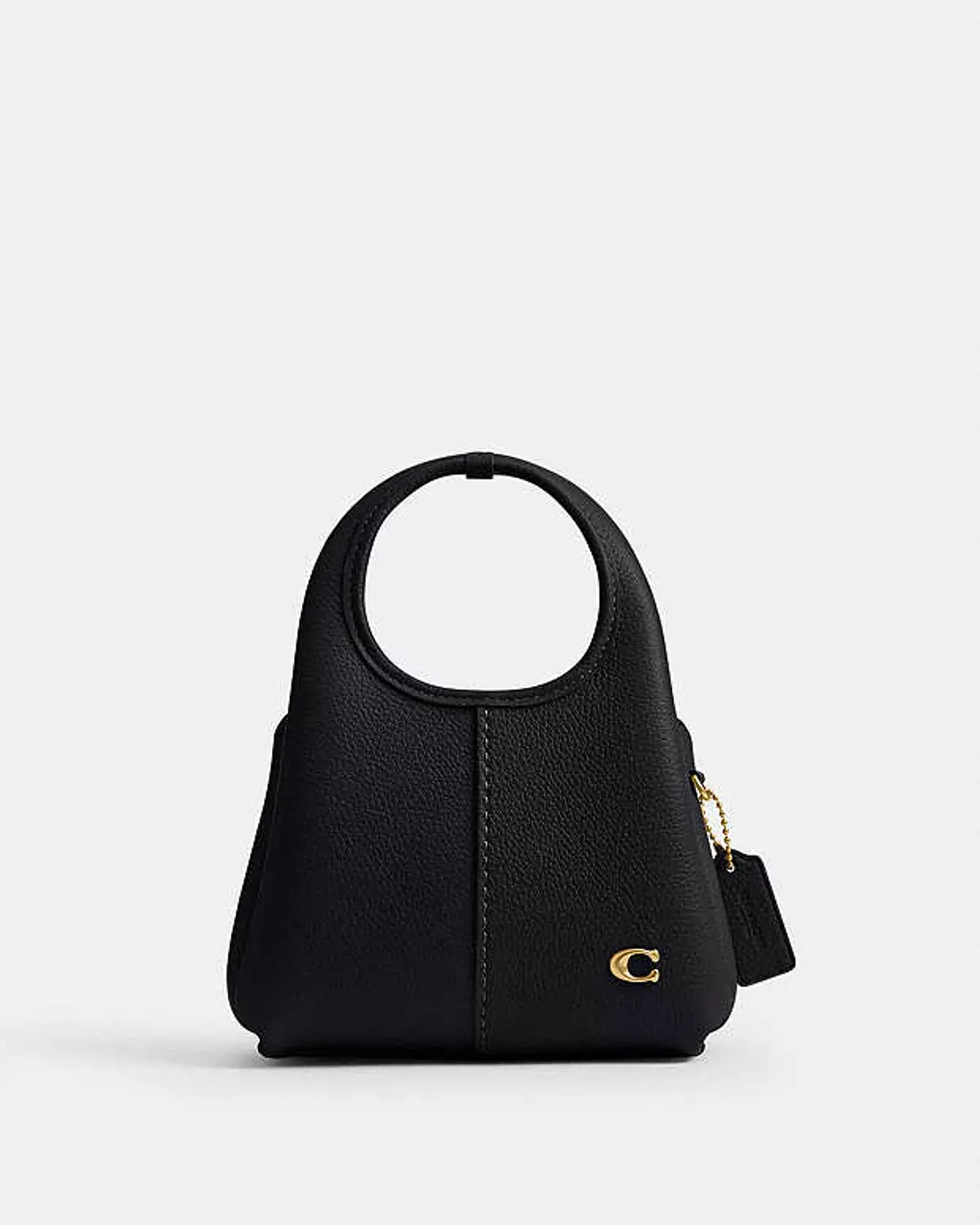 Lana Coach Bag size 19 2