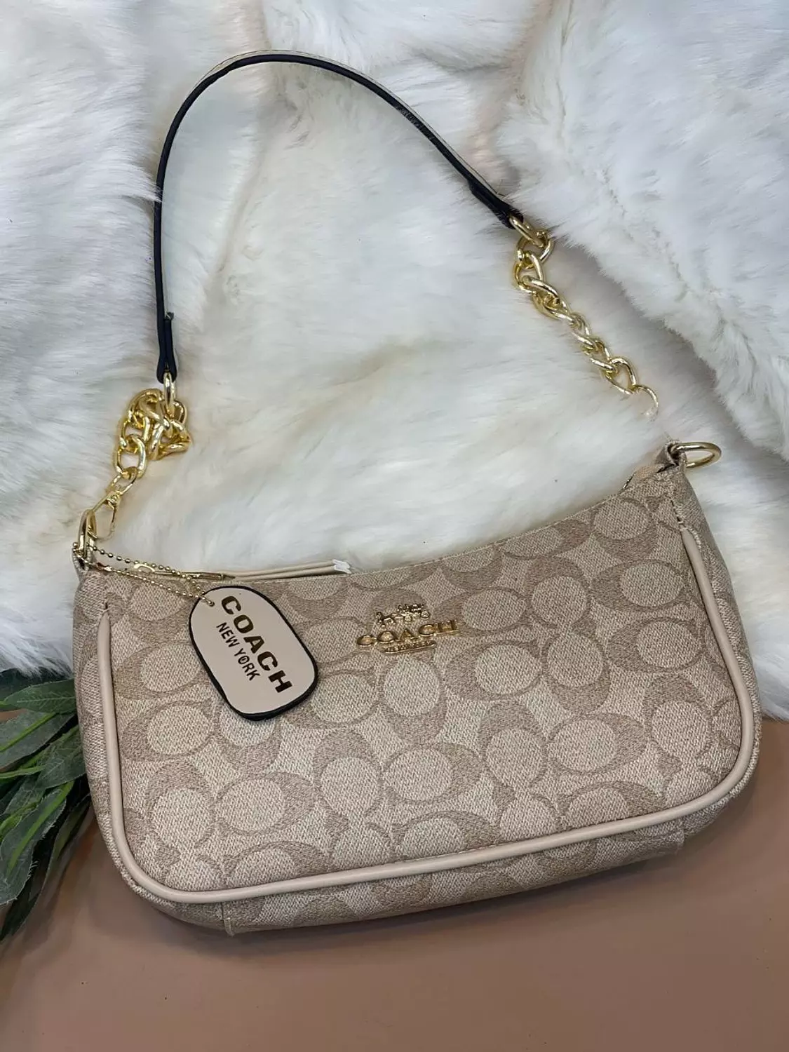 COACH Bag 2
