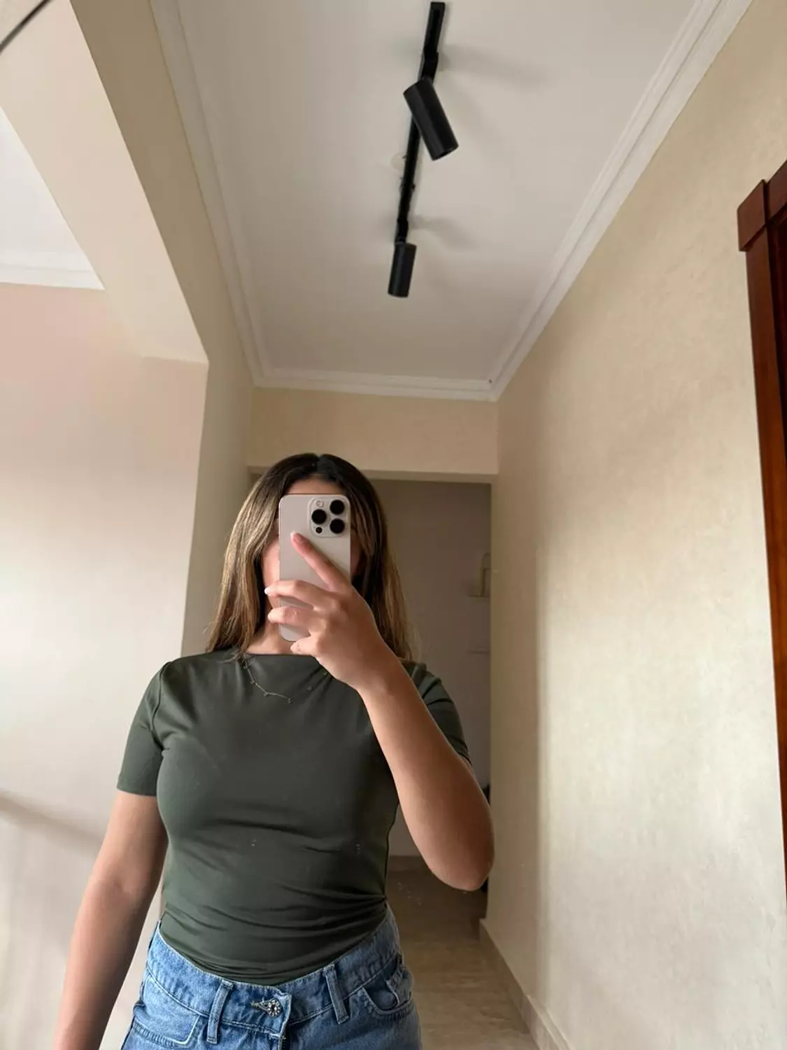 Short Sleeves Olive Basic Top image