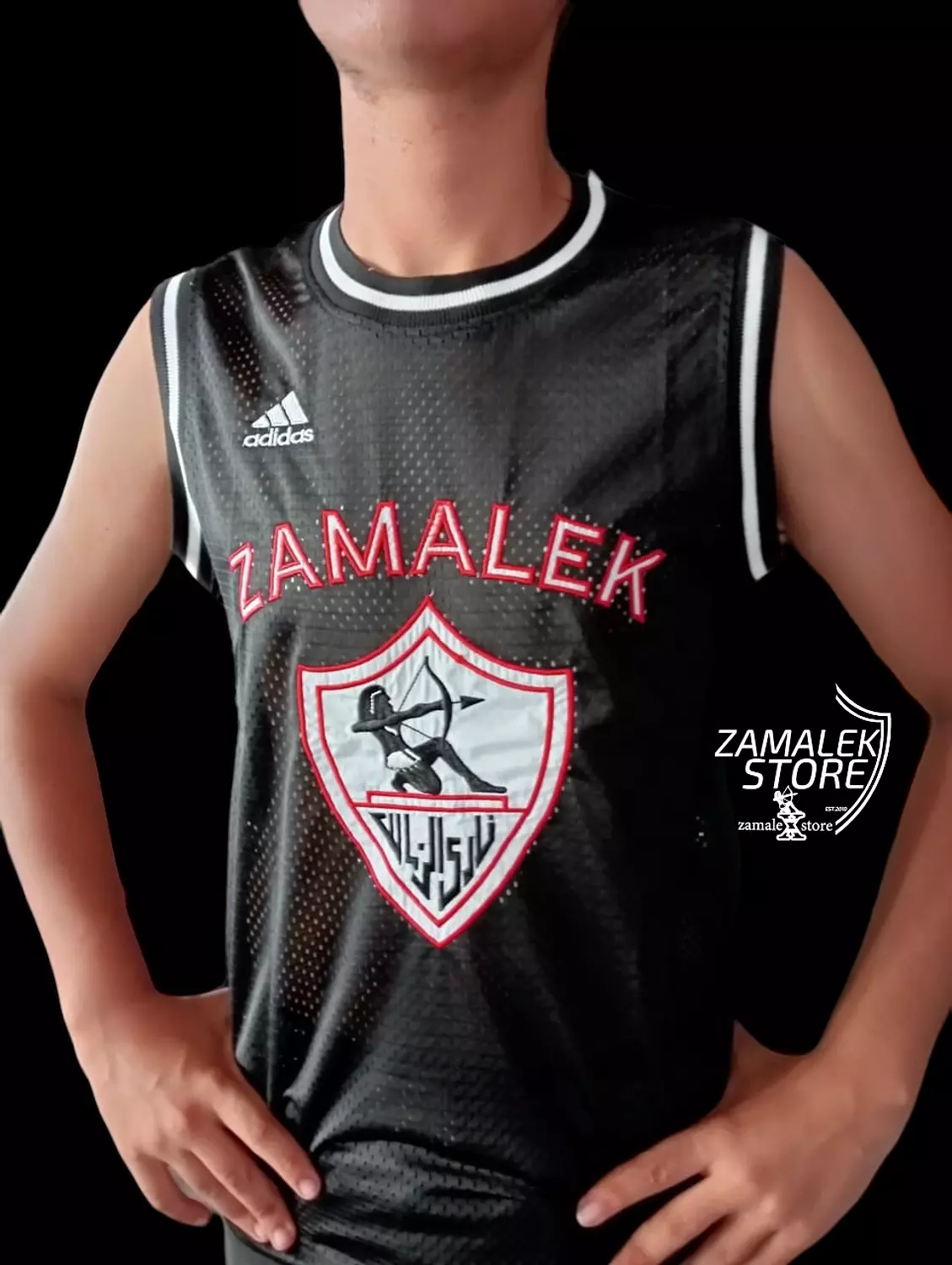 basketball logo image