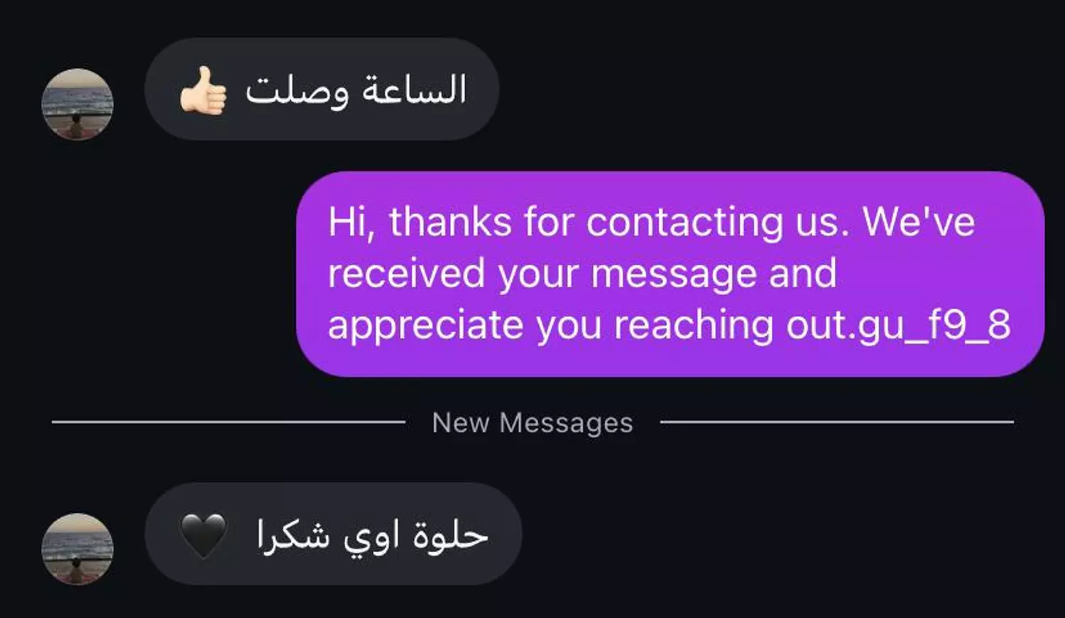 <p style="text-align: start"></p>