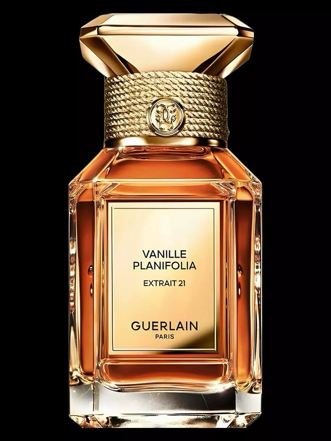 vanilla planifolia image