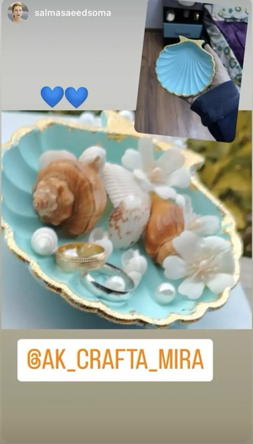 Sea shell  image