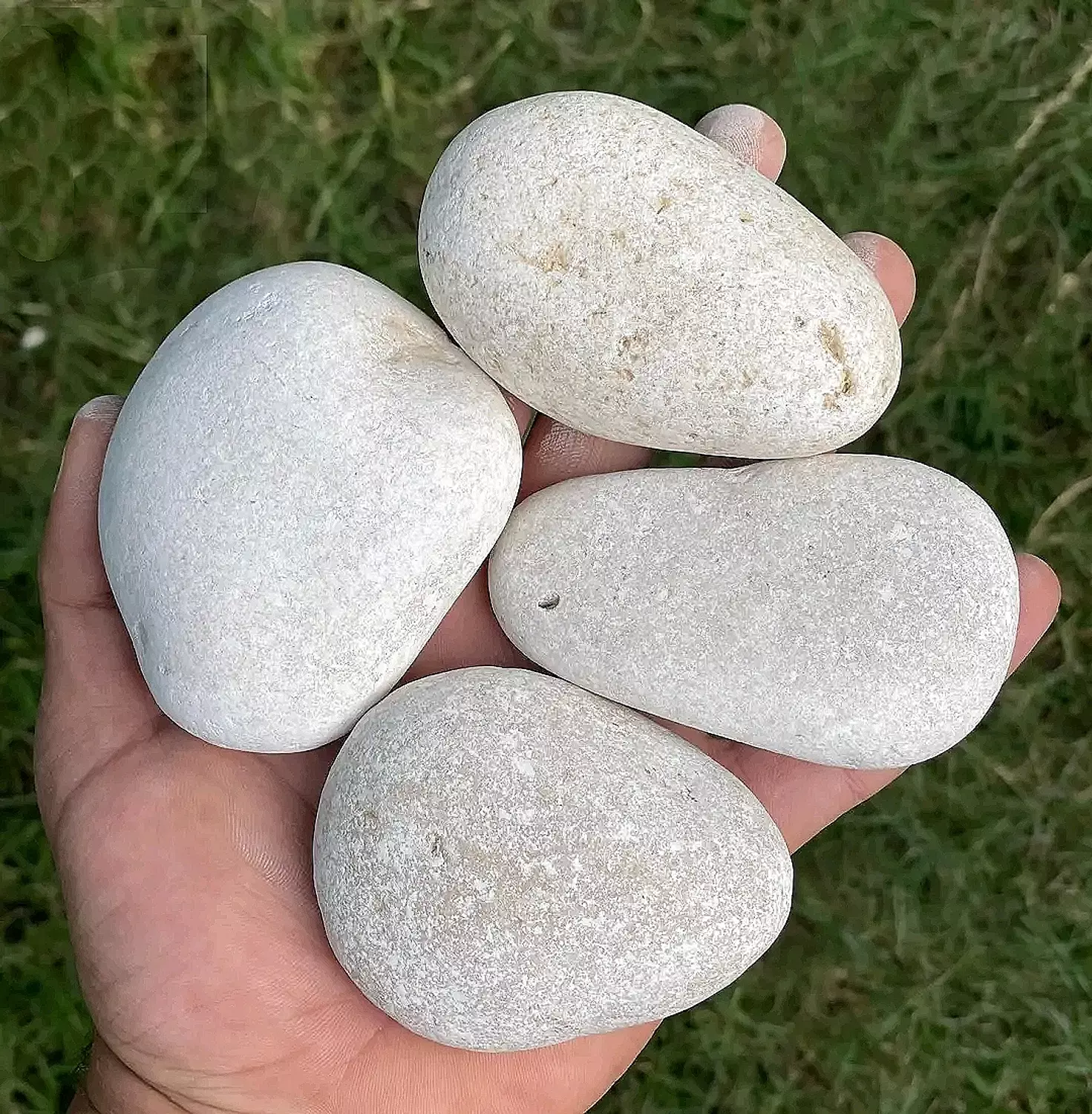 White Pebbles image