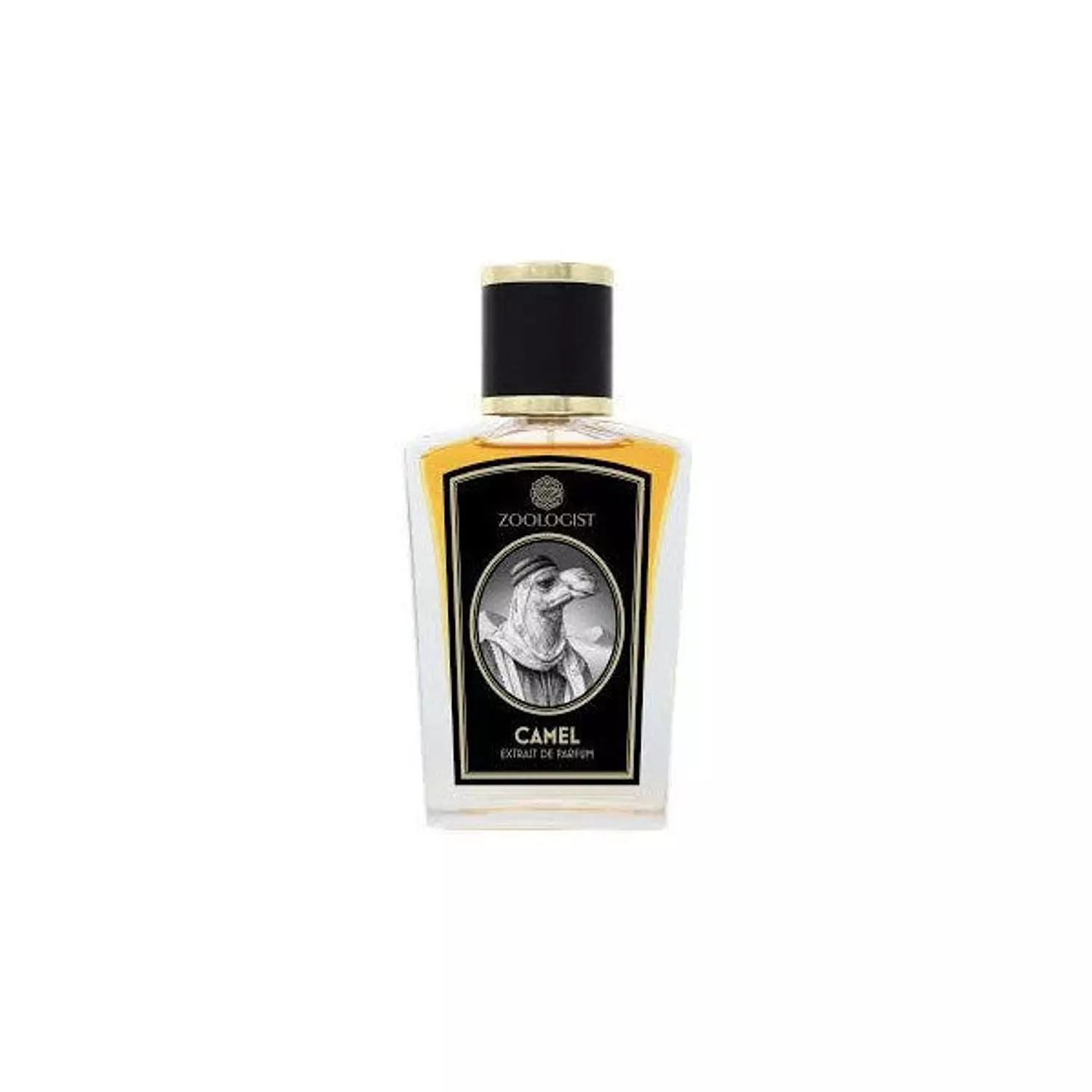 Camel Zoologist Perfumes 60 ml for men | glory perfume