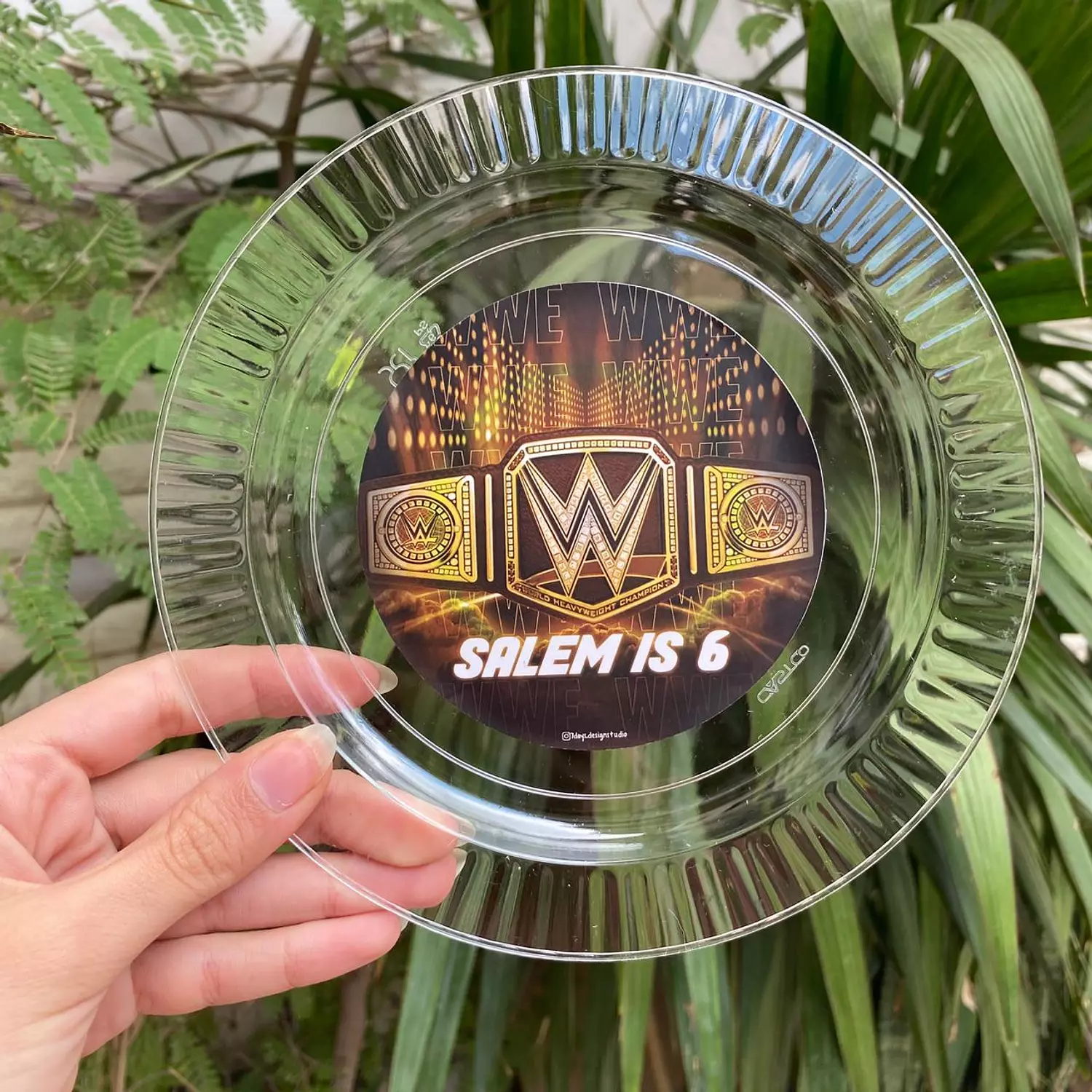 10 Plastic Plates 11