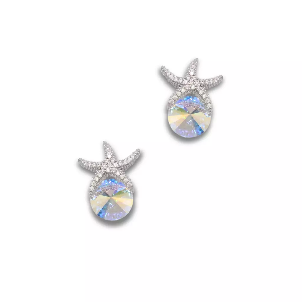 Silver Earrings