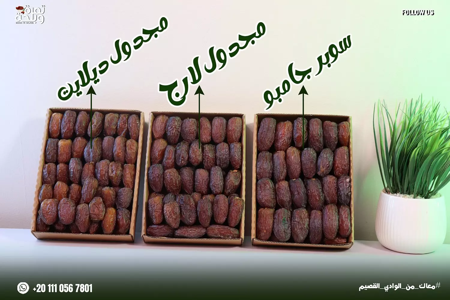 مجدول  image