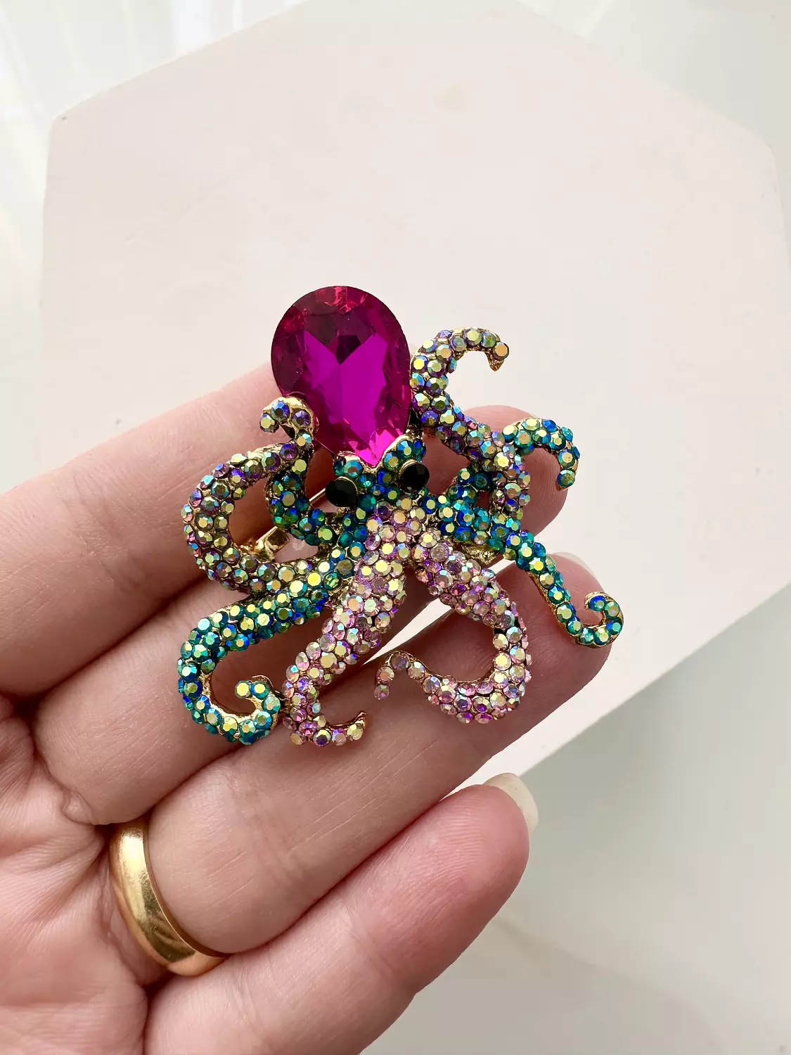 Octopus  image