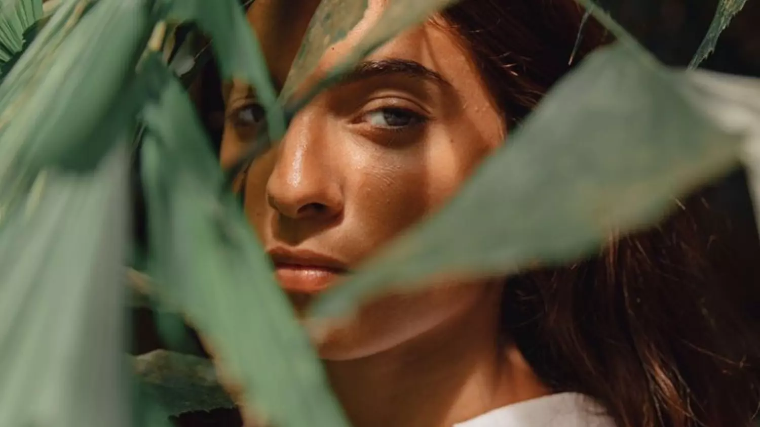 banner image for Med-glow