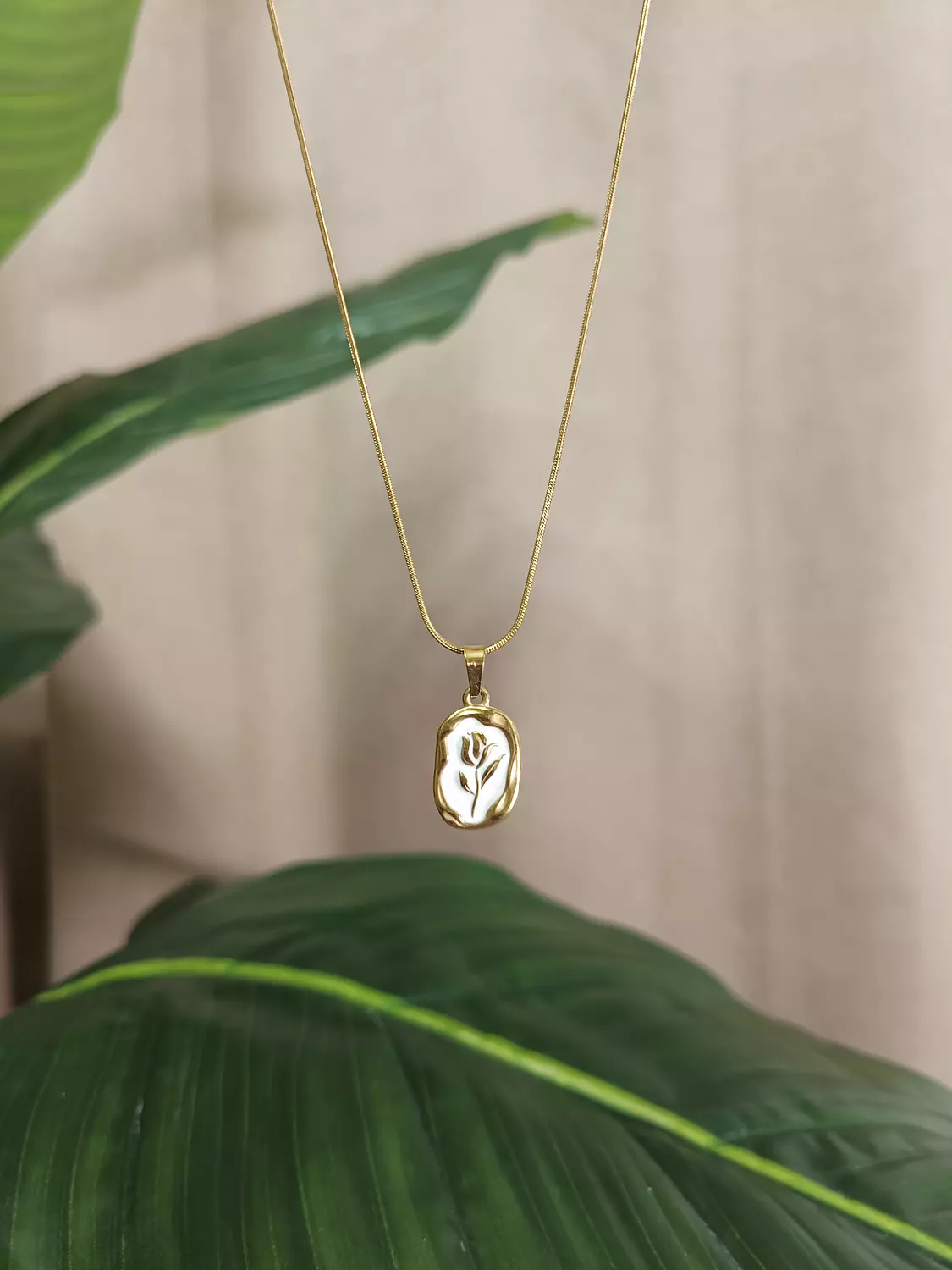 سلسلة وردة فريم  image