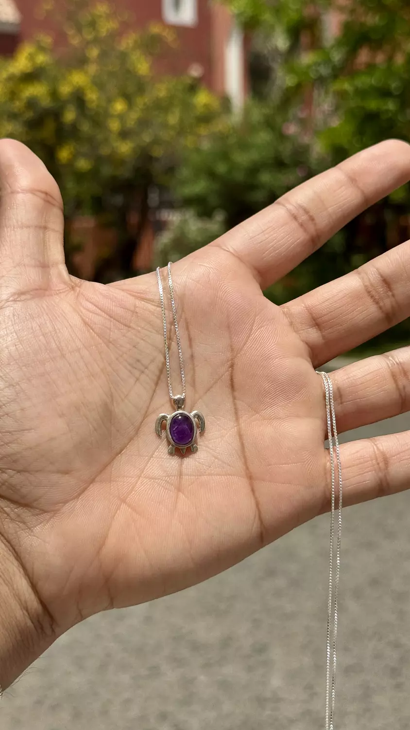 Amethyst Turtle Necklace image