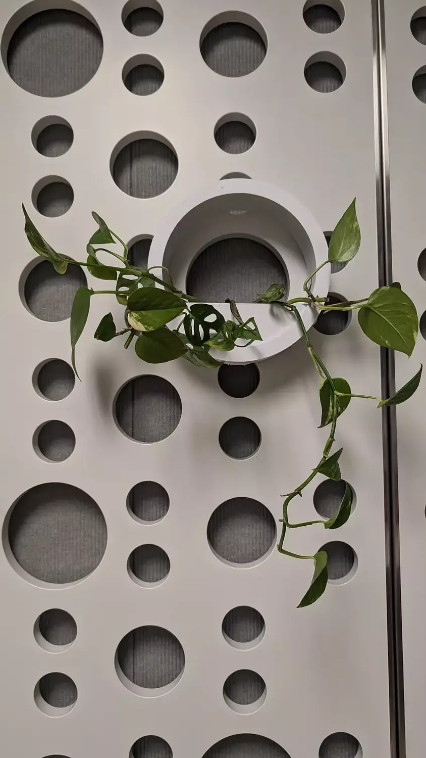 Circle Planter with Hidden Drainage 3