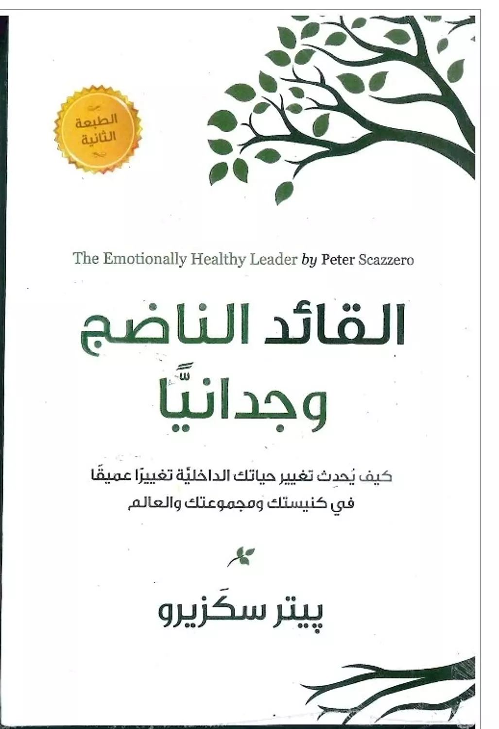 القائد الناضج وجدانيا image