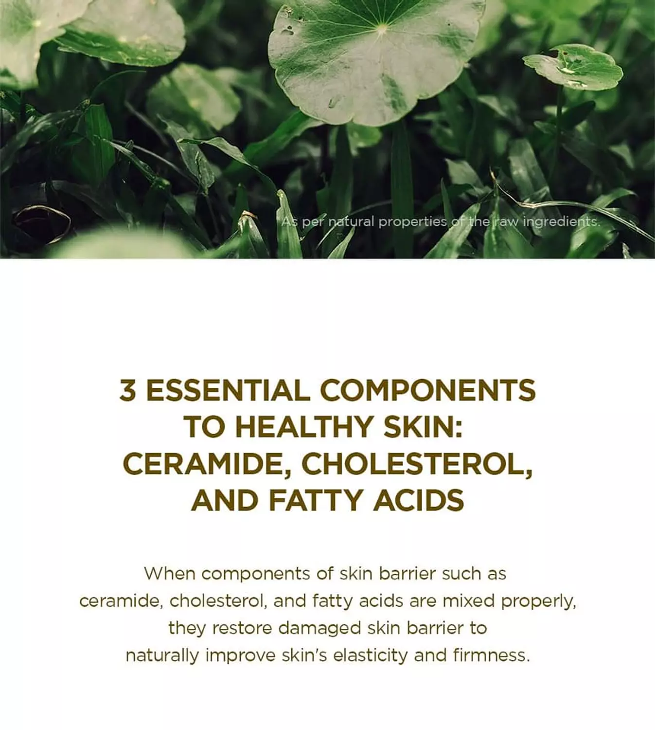 SKIN1004 - Madagascar Centella Soothing Cream 5