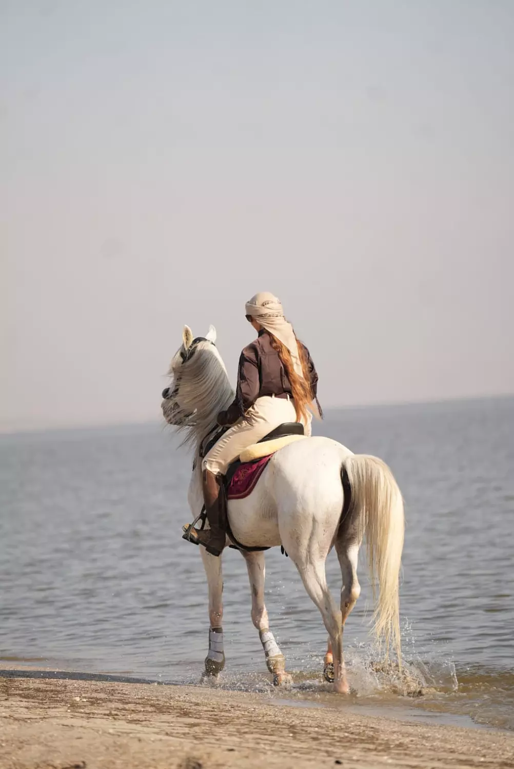 Equestrian Pants 10