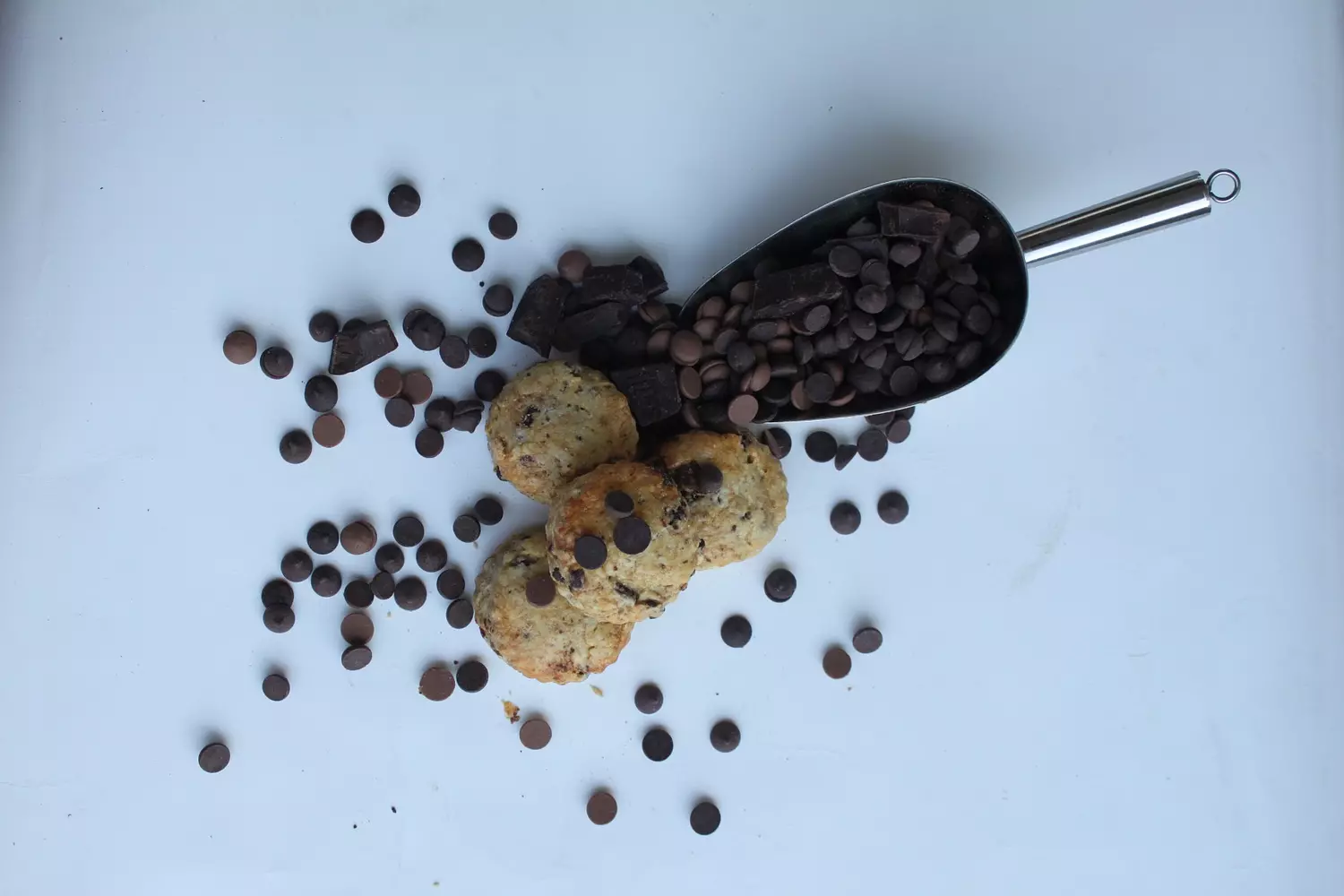 Chocolate Chip Tea Scones 4