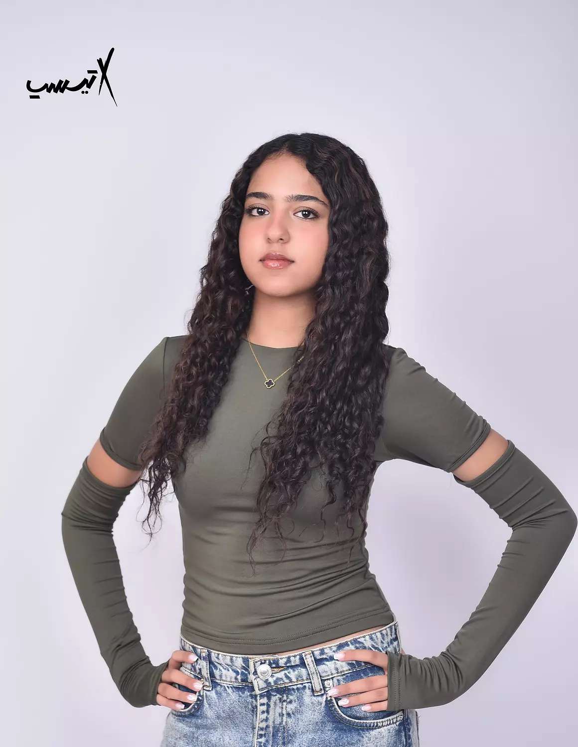 Ribbed Sleeves Top image