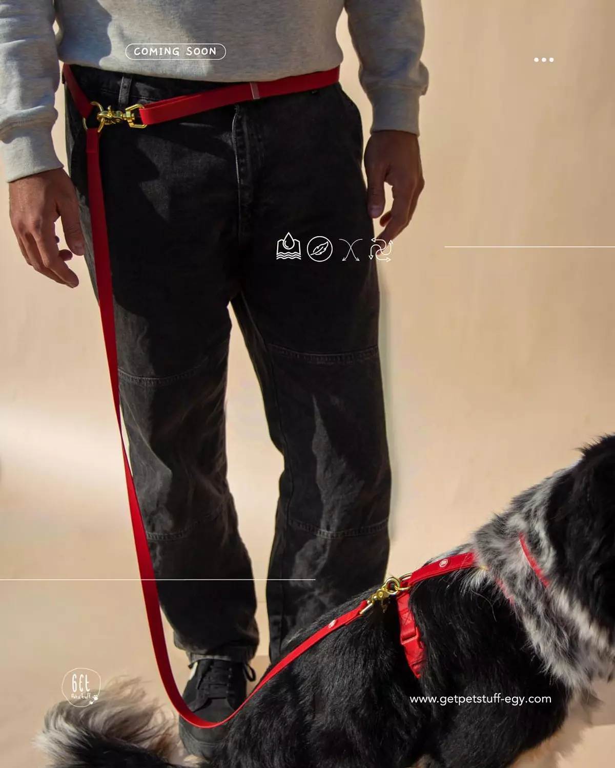 Essential Hands-free Leash 6