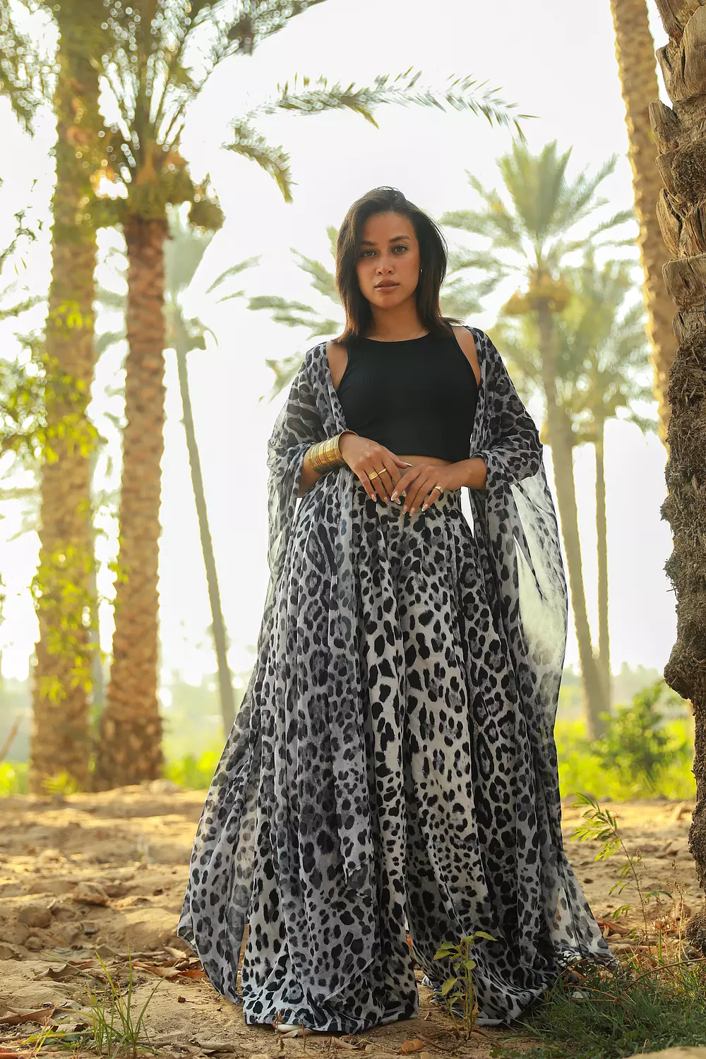 Grey Leopard Set image