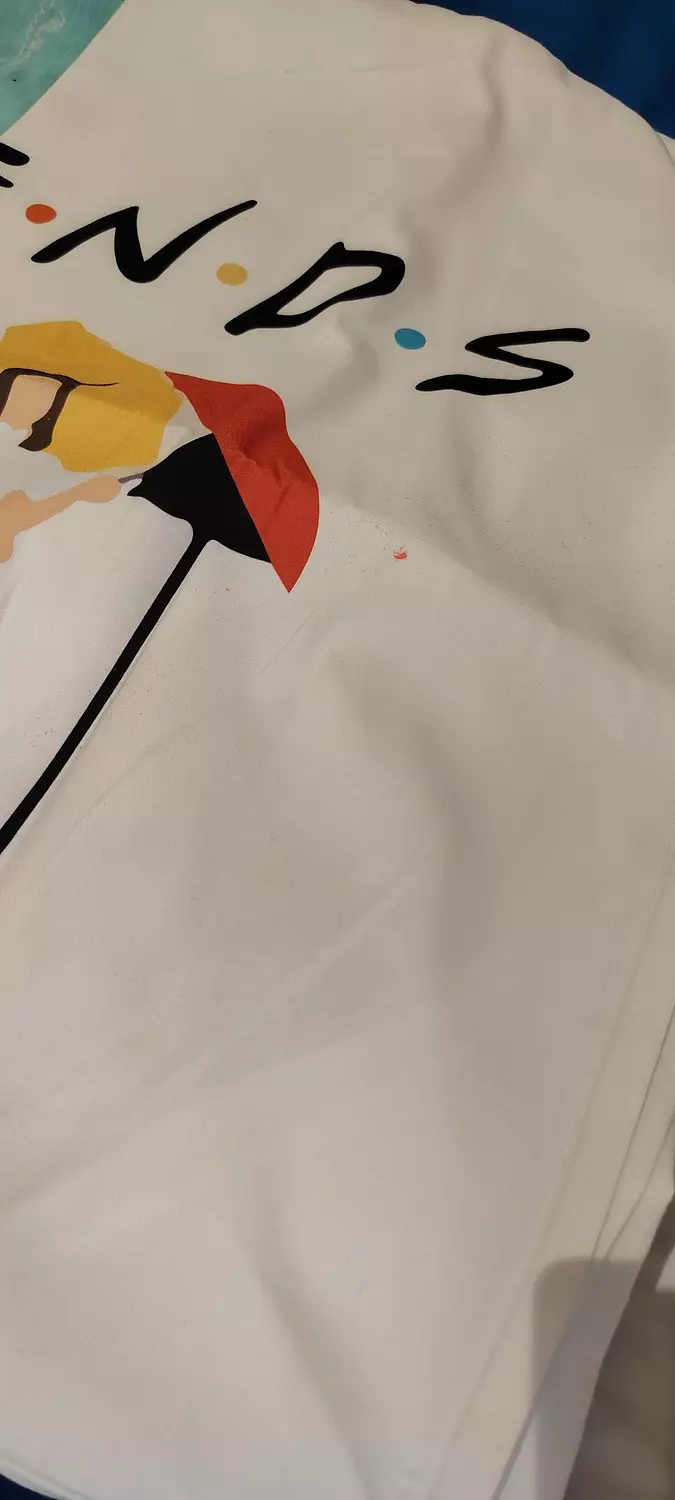 F.R.I.E.N.D.S pillow case  1