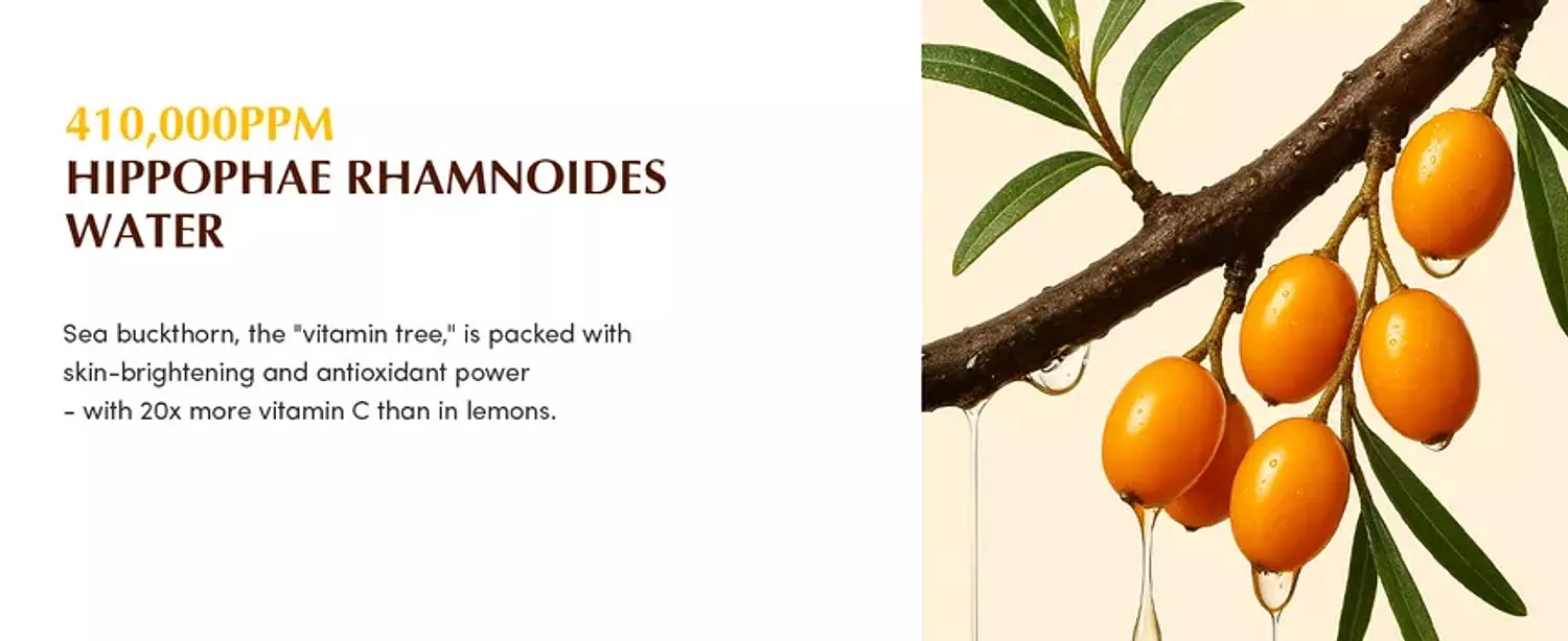 EQQUALBERRY - Collagen Glow Up Gel Toner Pads 60 Pads 4