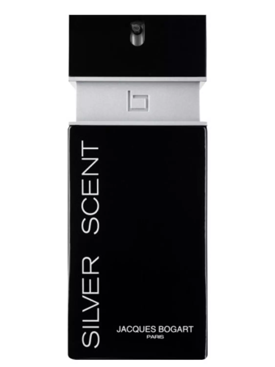 سيلفر سينت برفيوم 100ML image