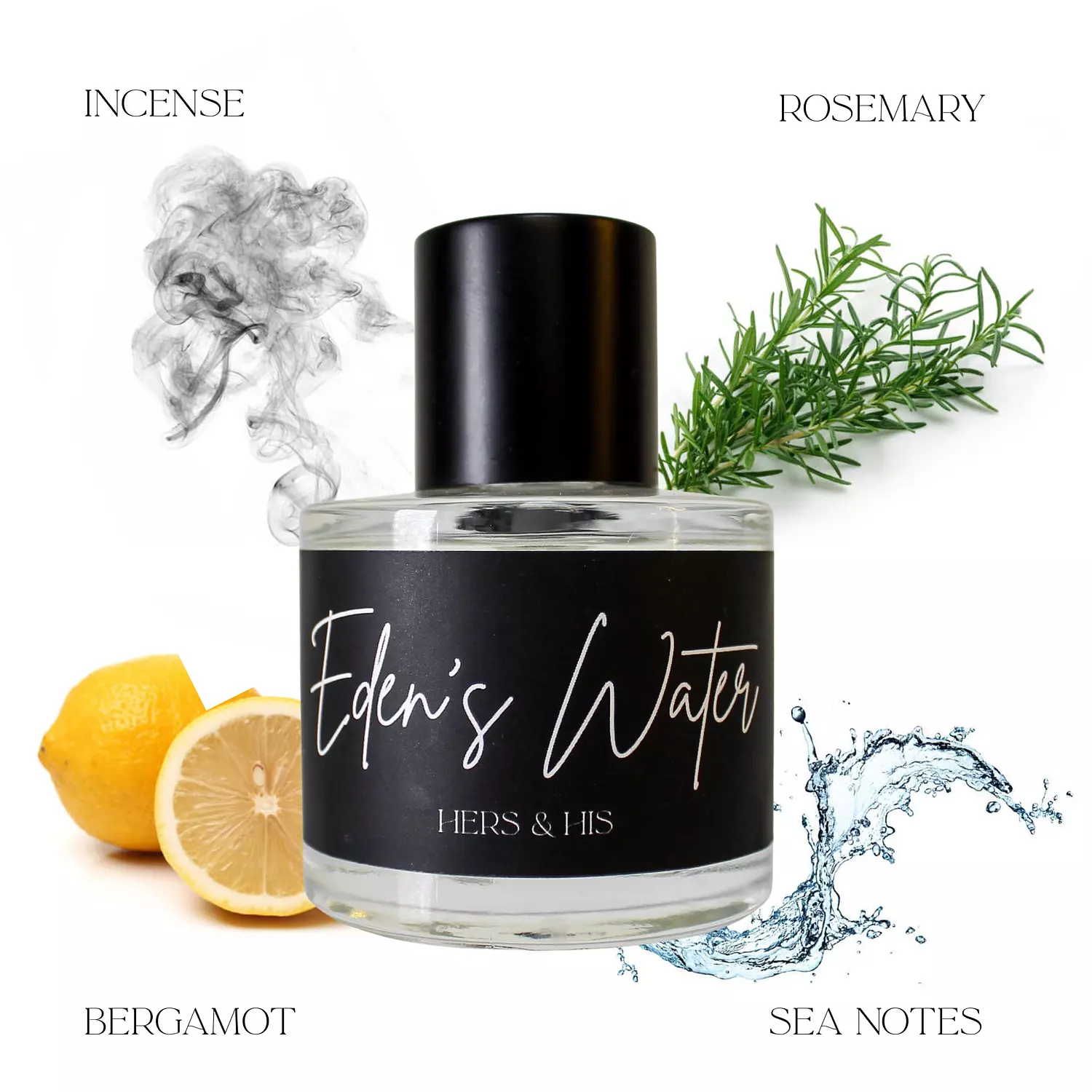 The Iconic Bundle  hover image